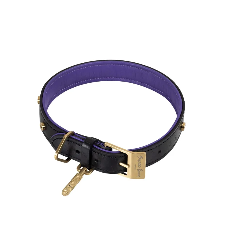 buster punch pet collar stylish and durable