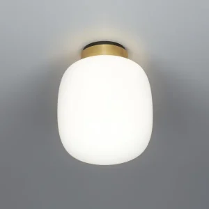 tooy elegant ceiling lamp